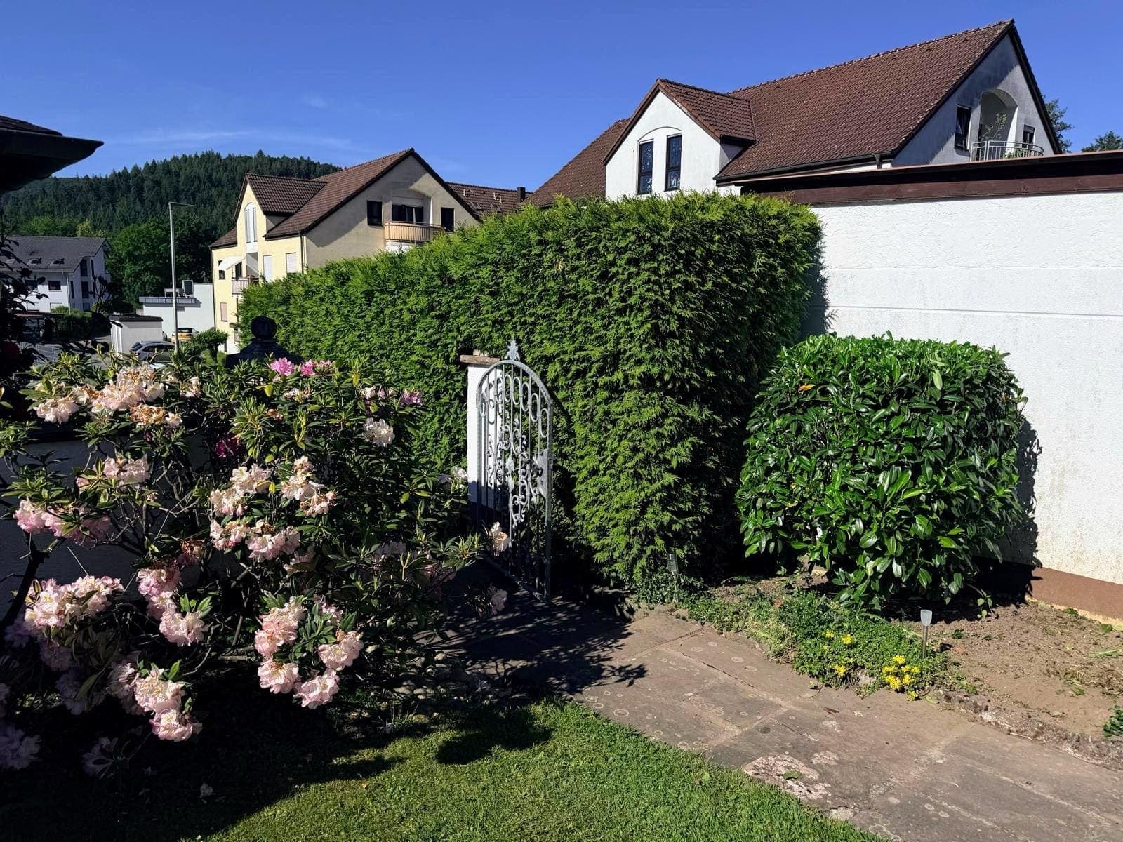 Heckenschnitt – Grünfix Gartenservice