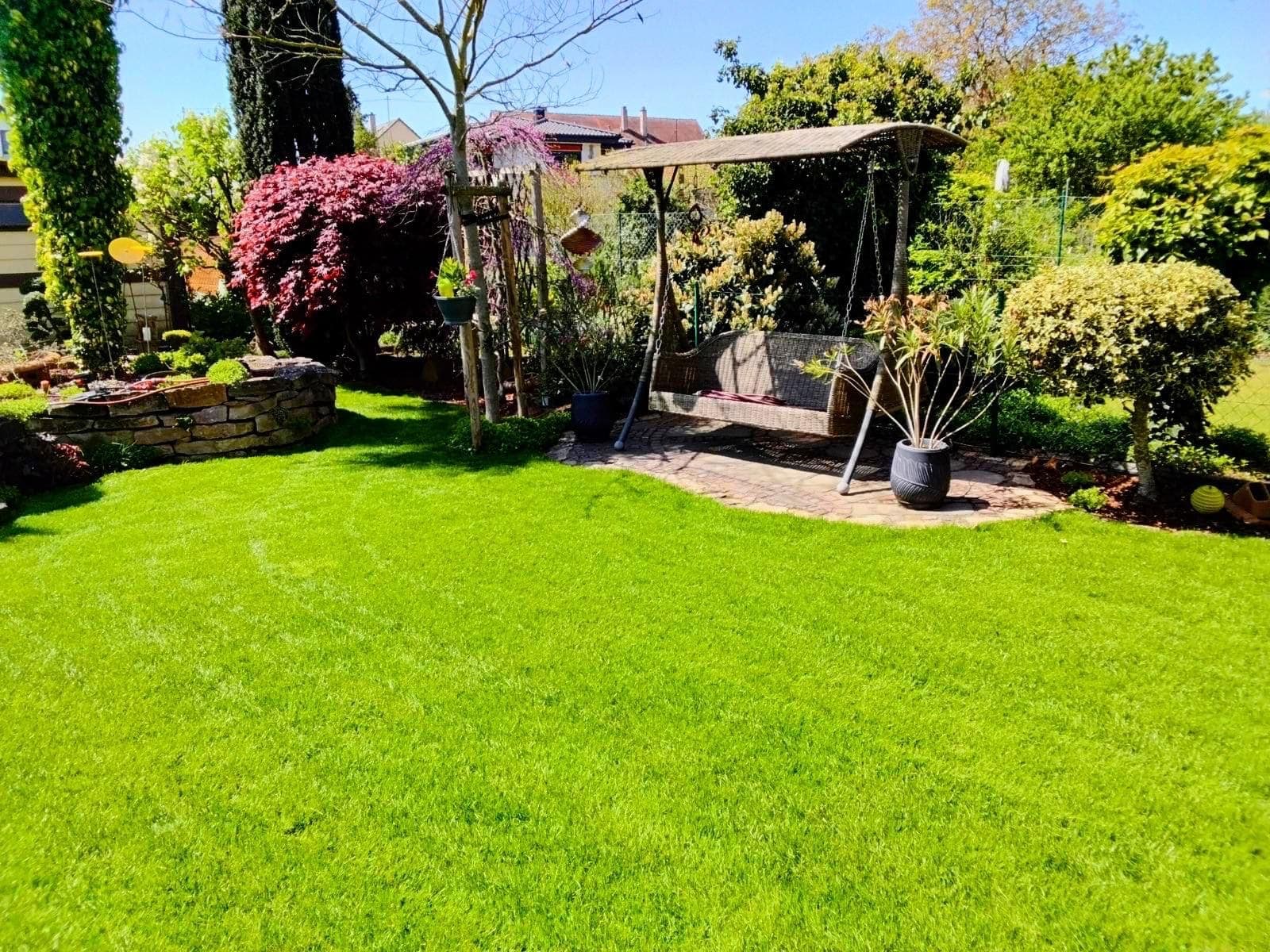 Alles rund um den Rasen – Grünfix Gartenservice